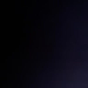 Meet your Posher, Larry